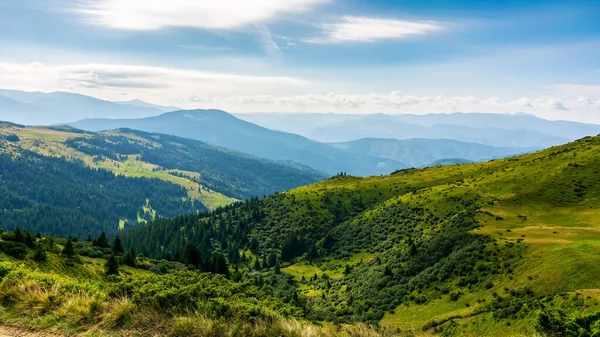 Forested Hills Carpathian Mountains View Distant Valley Clouds Blue Sky — Fotografia de Stock