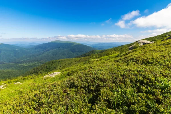 Paisagem Montanha Verde Paisagem Natural Verão Com Cume Distância Bela — Fotografia de Stock