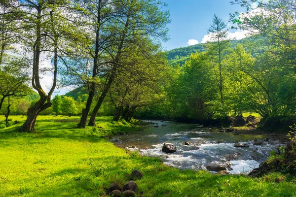 Frühlingslandschaft Mit Fluss Und Bäumen Ufer Berge Der Ferne Sonniger — Stockfoto