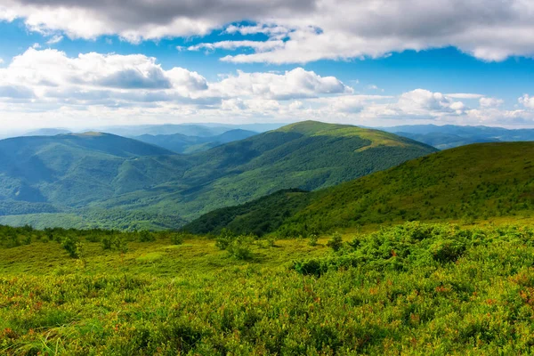 Akşam ışığında yeşil manzara. Karpat dağlarının çimenli tepeleri ve çayırları parlayan bulutlarla dolu bir gökyüzünün altında