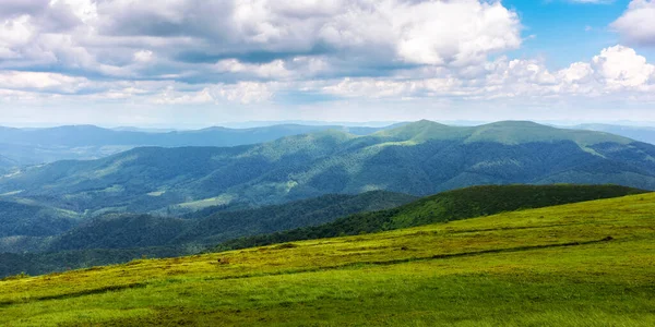 Green Scenery Dappled Light Grassy Meadows Carpathian Mountain Landscape Sunny — Stockfoto