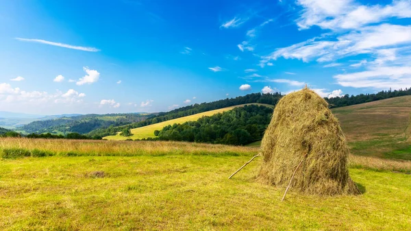 Tepedeki çim tarlasında saman yığınları. Güneşli bir yaz gününde Karpat Dağları 'ndaki güzel kırsal alan. Akşam ışığında mavi gökyüzünde kabarık bulutlar