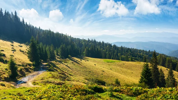 森林に覆われた丘を持つカルパチアのアルプスの牧歌的な風景 日の出の山の谷 朝の光でふわふわの雲が広がる青い空の下の不思議の国の風景 夏の自然生態系の背景 — ストック写真