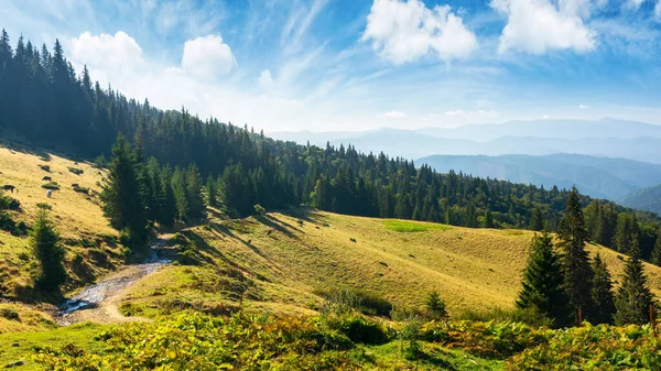 Idylliska Landskap Karpatiska Alperna Med Skogsklädda Kullar Bergsdal Vid Soluppgången — Stockfoto