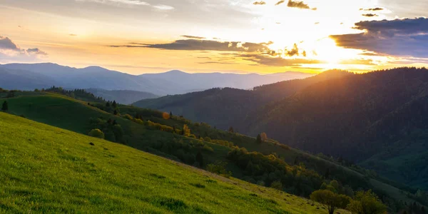 Landsbygdslandskapet Karpaterna Vacker Grön Bakgrund Vid Solnedgången Våren Träd Gräsbevuxna — Stockfoto