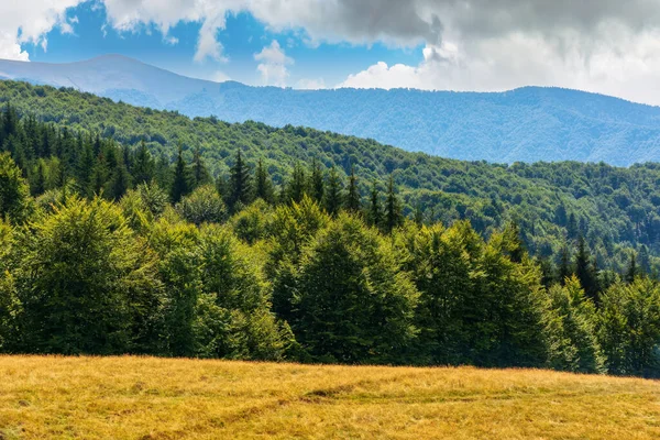 Paisaje Montaña Día Soleado Brillante Bosque Hayas Prado Herboso Los —  Fotos de Stock