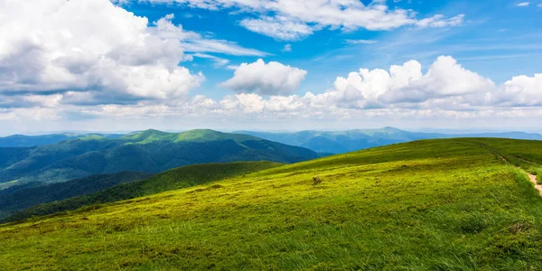 Grönt Landskap Grönskande Ljus Gräsbevuxna Ängar Karpatiskt Bergslandskap Solig Dag — Stockfoto