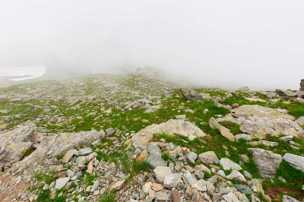 Yüksek dağlarda sisli hava. Romanya 'nın ibne tepelerinin yamaçlarında çimenlerin arasında kayaların olduğu bir manzara. Yaz doğa maceraları