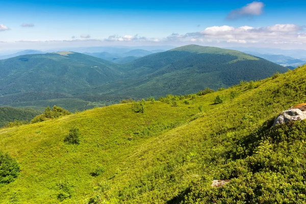 Yeşil dağ manzarası. Uzakta zirve yapılan yaz manzarası. Sabah ışığında güzel bir manzara