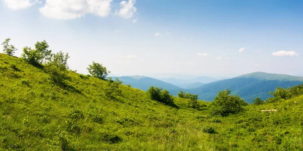 Graswiese Einem Sonnigen Nachmittag Schöne Karpaten Landschaft Sommer Ansicht Das — Stockfoto