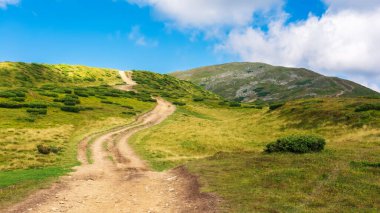 Petros zirvesine giden yol. Karpat Dağları 'nın güzel yaz manzarası. Başarı ve başarı kavramı. Bulutlu bir gökyüzünün altındaki çimenli tepe
