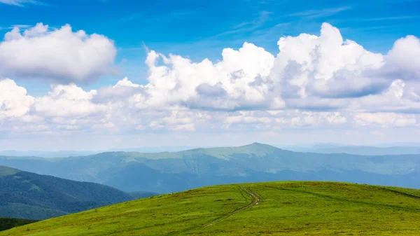 Grüne Landschaft Fleckigem Licht Grasbewachsene Hügel Der Karpaten Berglandschaft Einem — Stockfoto