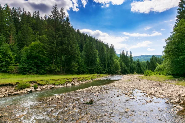 Sungai Hutan Mengalir Melalui Lembah Pemandangan Alam Yang Indah Musim — Stok Foto