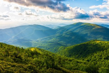 Akşam ışığında yeşil manzara. Karpat dağlarının çimenli tepeleri ve çayırları parlayan bulutlarla dolu bir gökyüzünün altında