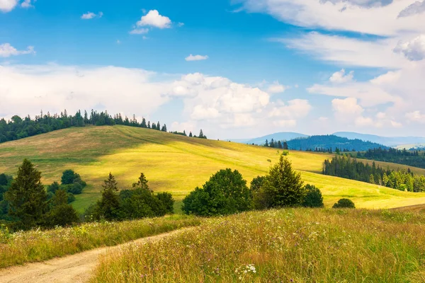 Pfad Durch Wiesen Ländliche Landschaft Mit Sanften Hügeln Und Weiden — Stockfoto