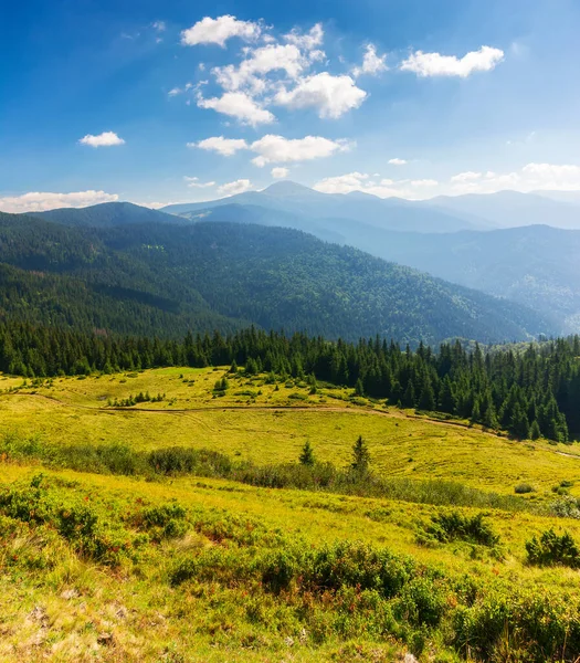 夏のカルパチア山脈の風景です 朝の光の中で森に覆われた丘や草原 距離ではチョロホラ尾根とホバラのピーク ウクライナの人気のある旅行先 空の雲 — ストック写真
