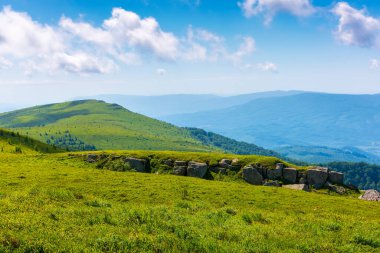 Vadinin manzarası. Karpatya dağlarının yaz manzarası. Gökyüzünde bulutlarla güneşli bir gün. seyahat ve turizm kavramı