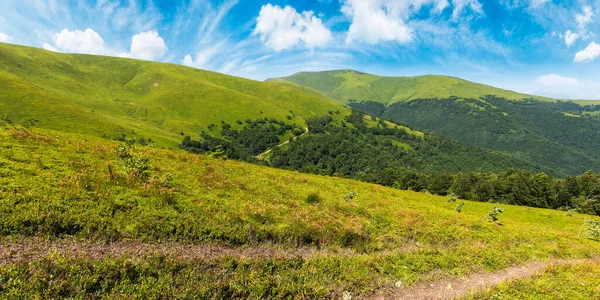 夏のボルツハヴァ山の尾根の景色 トランスカルパティアウクライナヨーロッパの美しい自然 青い空の下の丘の上に草の牧草地がある風景 夏休みのコンセプト — ストック写真