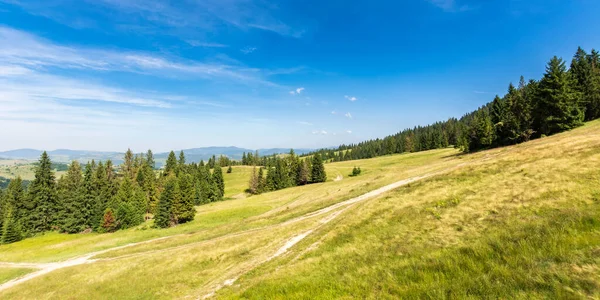 喀尔巴阡山丛生的山丘 下午阳光下美丽的自然景观 远眺乡村山谷的全景 晴空万里的天气晴朗 — 图库照片