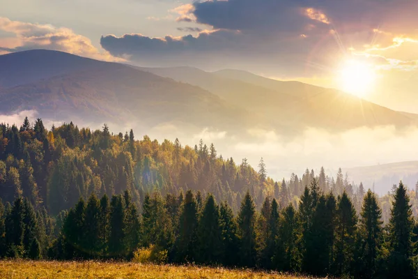 Naaldbos Heuvel Bij Zonsondergang Natuur Landschap Een Mistige Avond Prachtig — Stockfoto