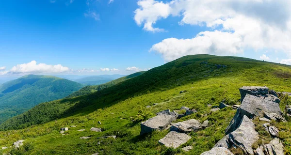 Paisagem Verão Montanha Carpathian Colinas Verdes Pedras Dia Ensolarado Com — Fotografia de Stock