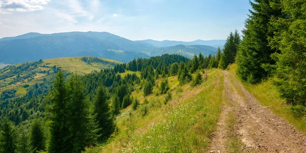 Karpaten Landschap Hoge Middag Mooie Zomer Berglandschap Een Zonnige Dag — Stockfoto