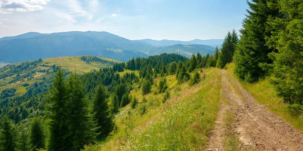 carpathian countryside landscape at high noon. beautiful summer mountain scenery on a sunny day. forested hills and grassy meadows beneath a blue sky with cumulus clouds