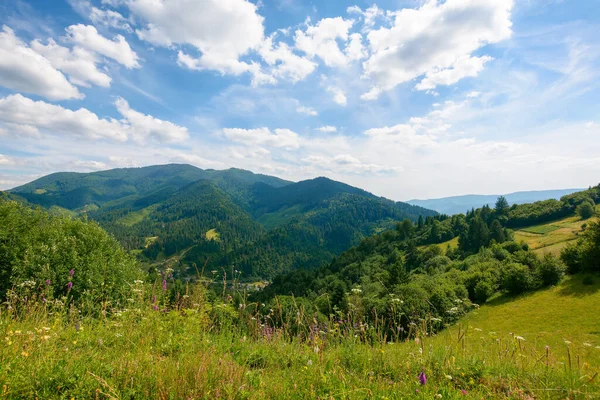 在阳光明媚的日子里 山水绵绵 在喀尔巴阡山乡村的暑假 青草丛生的草地和蓝天下起伏的山丘上的森林 — 图库照片