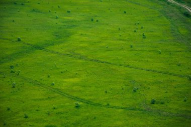 Yeşil çimen yüzeyi arka planı. Yazın çayır dağları