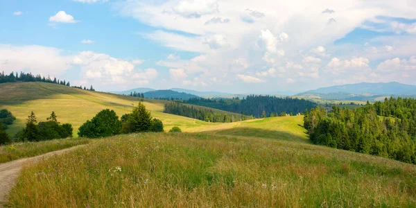 Carpathian Countryside Scenery Summer Grassy Fields Meadows Blue Sky Fluffy — Stock Photo, Image