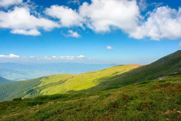 喀尔巴阡山脉的绿色斜坡 阳光明媚的夏日风景 长满青草的小山和草地 远处的山脊 — 图库照片