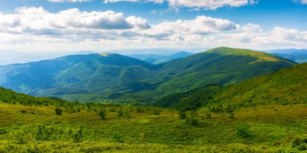 Green Landscape Evening Light Grassy Hills Meadows Carpathian Mountains Sky —  Fotos de Stock