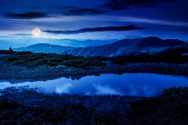 夏の夜に湖と風景 水の中の平和的な反射 美しい旅行ビュー 満月の光の中で静かな自然を背景に 緑の屋外風景 — ストック写真