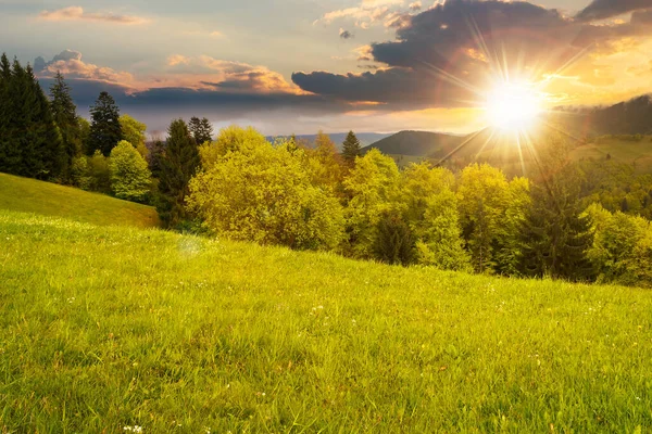 春天日落时美丽的自然景观 在喀尔巴阡山脉的乡村风景中 有着新鲜的绿色草甸和晚霞中的针叶林 天空中遥远的山脊上的云彩 — 图库照片