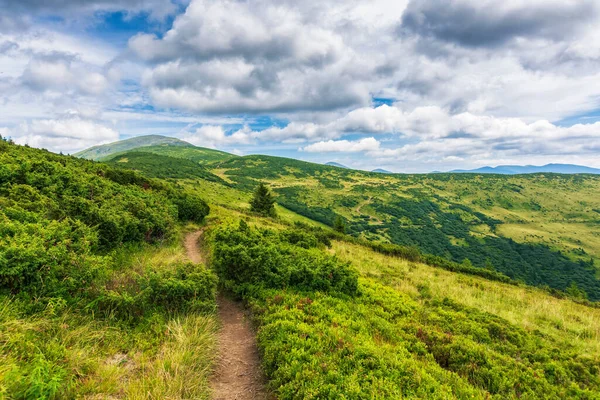 Beautiful View Idyllic Alpine Mountain Scenery Fresh Green Meadows Sunny — Stock Photo, Image