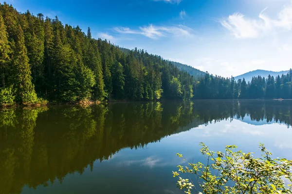 Paisagem Tranquila Com Lago Verão Reflexão Florestal Água Calma Fundo — Fotografia de Stock