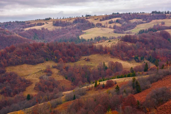 Landsbygdslandskap Hösten Skogsklädda Kullar Soligt Väder Med Molnig Himmel Lugn — Stockfoto