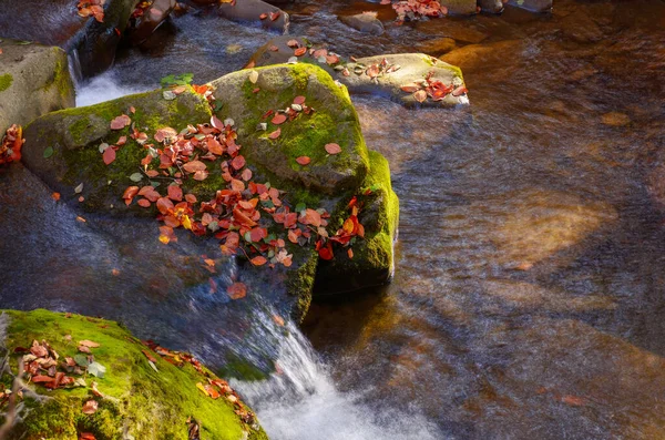 Acqua Scorre Tra Rocce Muschiose Bellissimo Sfondo Naturale Una Giornata — Foto Stock
