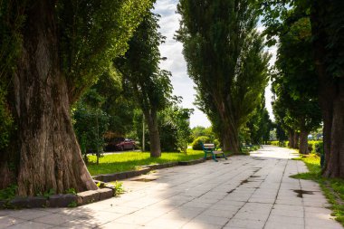 Kestane seti üzerinde güneşli bir sabah. Sabah ışığında uzun ağaçlar. Yürüme yolunun kenarındaki bankta. Yazın güzel şehir manzarası
