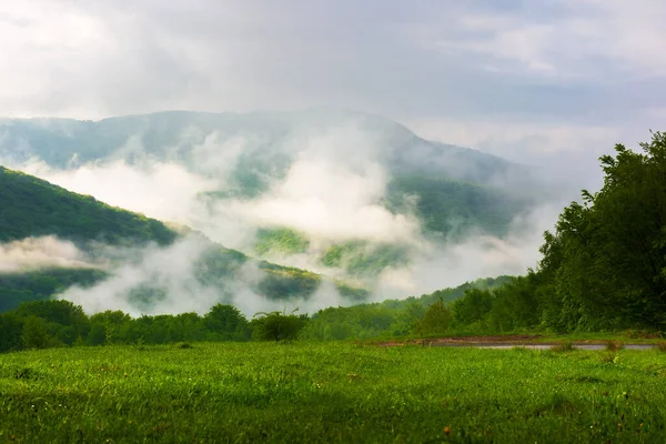 山中青蓝的风景 青草丛生的草地和山上的森林 山谷中的雾和天空中的云彩 透析性心绞痛的多云早晨 — 图库照片