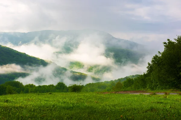 Paisajes Verdes Azules Las Montañas Prado Herboso Bosque Colina Niebla —  Fotos de Stock