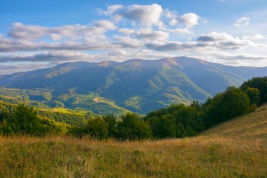 Karpatya kırsal arazisi akşam ışığında. Sonbaharda güzel bir dağ manzarası. Çimenli çayırlar ve orman tepeleri. Uzakta kırsal vadi var. # Mavi gökyüzünün altında muhteşem bulutlarla #