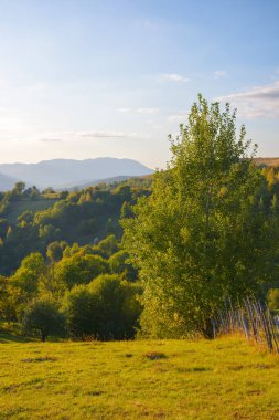 Gün batımında Carpathian kırsalının manzarası. Çimenli kırsal otlaklar ve gece ışığında orman yamaçları. Parlak mavi gökyüzünde yumuşak bulutlarla ılık sonbahar havası