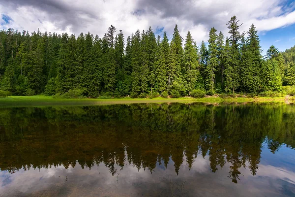 Paisaje Tranquilo Con Lago Verano Reflexión Del Bosque Agua Tranquila —  Fotos de Stock