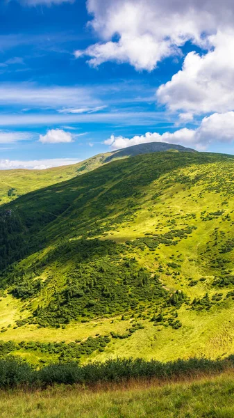 Přírodní Letní Krajina Horským Údolím Idylická Venkovní Scenérie Karpatských Alp — Stock fotografie