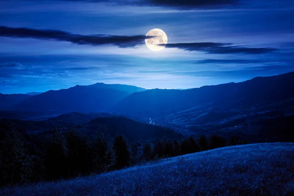 夜間のカルパチア地方の風景です 満月の夜に山の中で初秋の季節 遠くの谷に転がり込む芝生の丘の上の木は — ストック写真