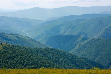 Yaz dağı manzarası. uzak kırsal vadiye bakın. Yeşil çayırlar ve orman tepeleri. Güneşli bir hava. Karpatların güzel doğası