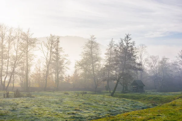 Krajina Horách Úsvitu Ranním Světle Mezi Stromy Travnaté Louce Válela — Stock fotografie