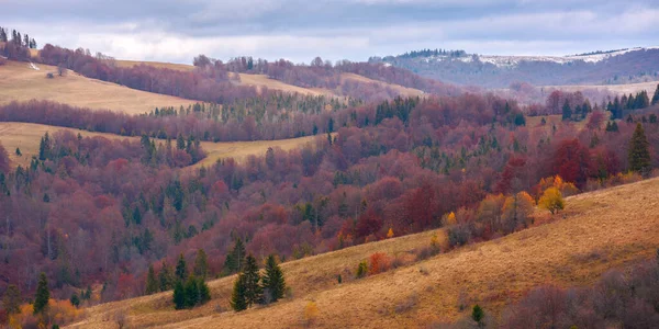 Krajobraz Wiejski Późną Jesienią Drzewa Jesienią Liści Kolorowych Trawiastych Wzgórzach — Zdjęcie stockowe