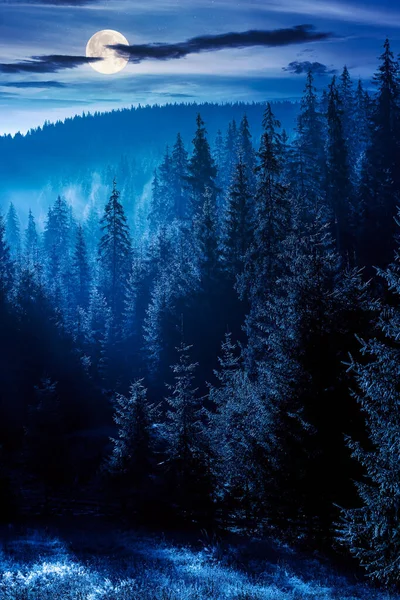 Jehličnatý Les Mlhavé Noci Stromy Úpatí Kopce Úplňku Modrá Obloha — Stock fotografie
